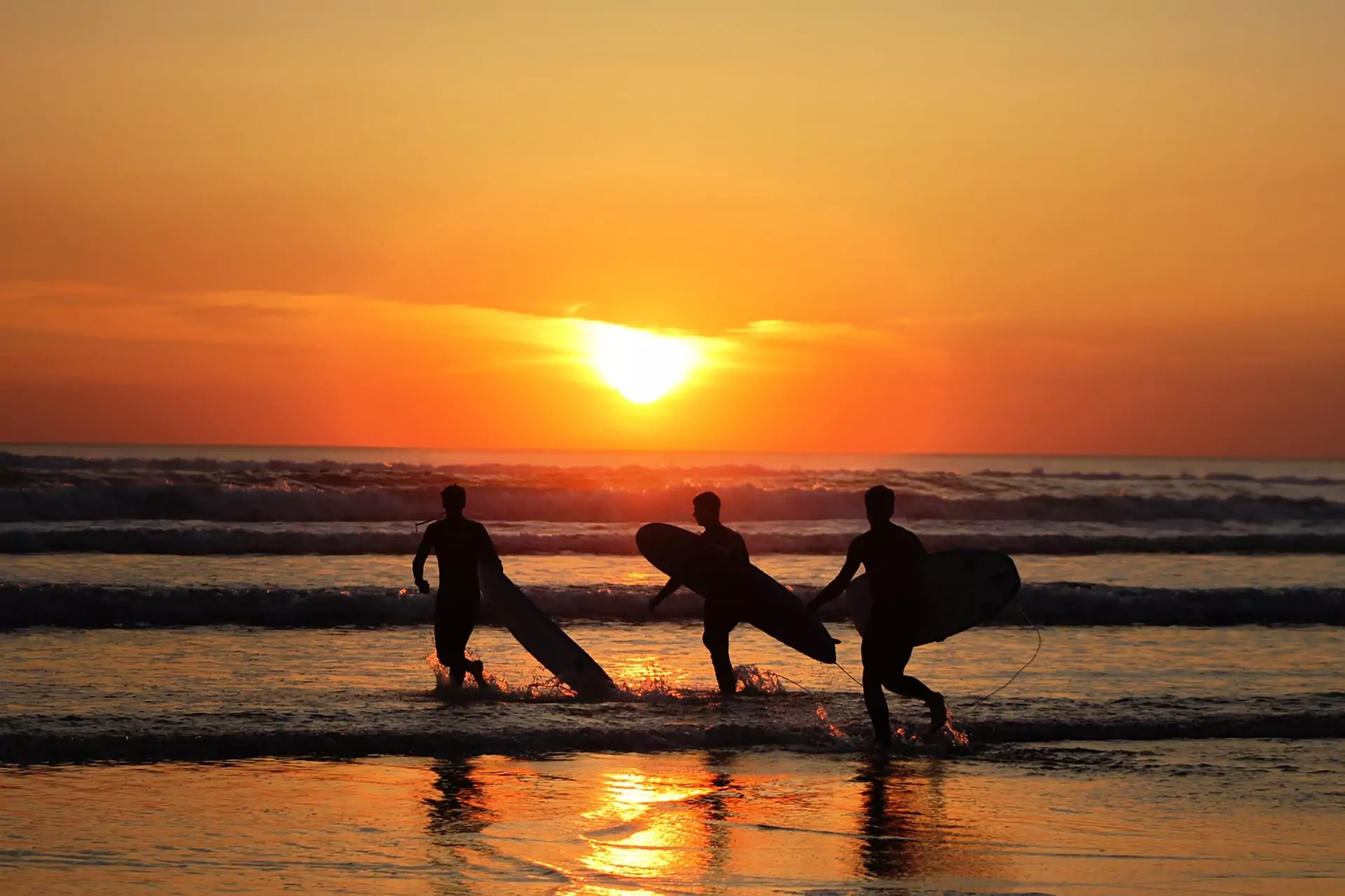 Surfistas